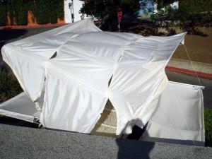rear