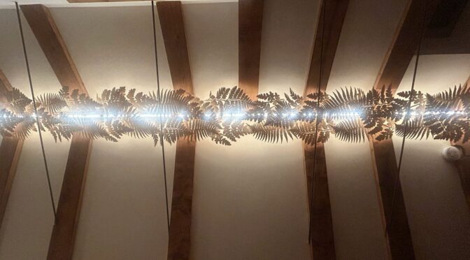 The ferns – Finishing the remodel